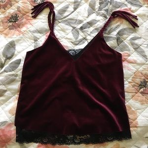 NWT Velvet Zara Top